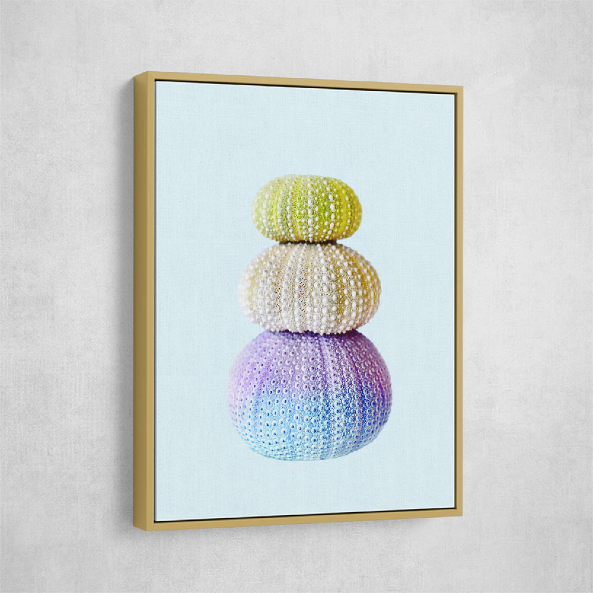 Sea Urchins Wall Art   Gold Canvas Framed 2402535 3x4 2000x2000 